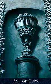 Bohemian Gothic Tarot Ace of Cups